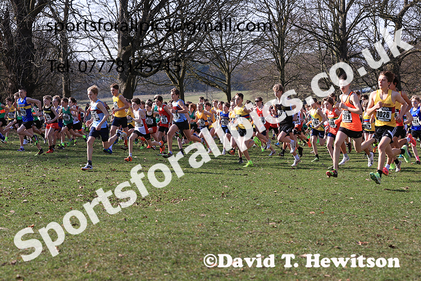 Boys under-13s 2025 UK CAU Inter Counties Cross Country Champs., Wollaton Park, Nottingham. Photo: David T. Hewitson/Sports for All Pics